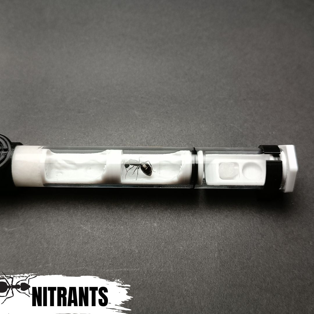 Tubo Ant Cave V3