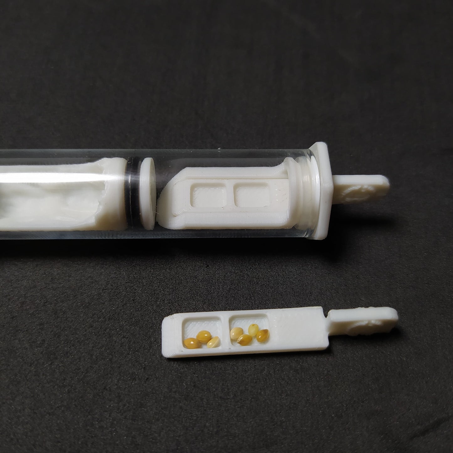 Tubo Ant Cave V3 Base Corcho