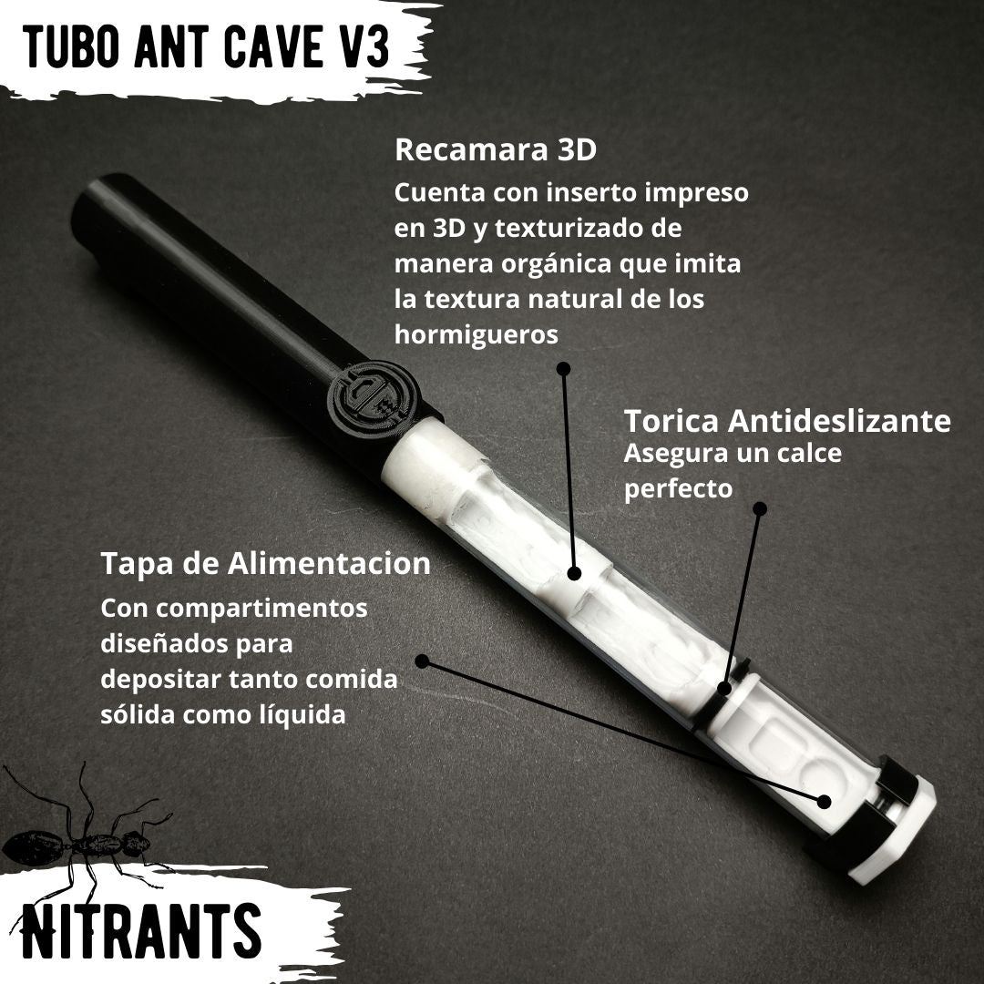 Reina C. Morosus + Tubo Ant Cave V3